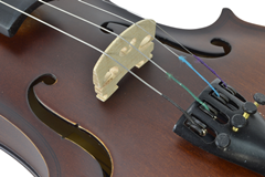 Student Violin 3/4 size By Sotendo 